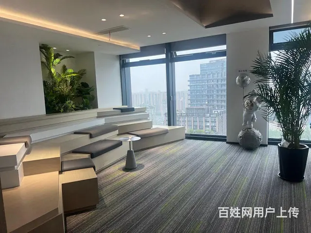 信雅达国际 一线江景 高区边套 3加1精装修带家具！地铁方便 - 图片 4