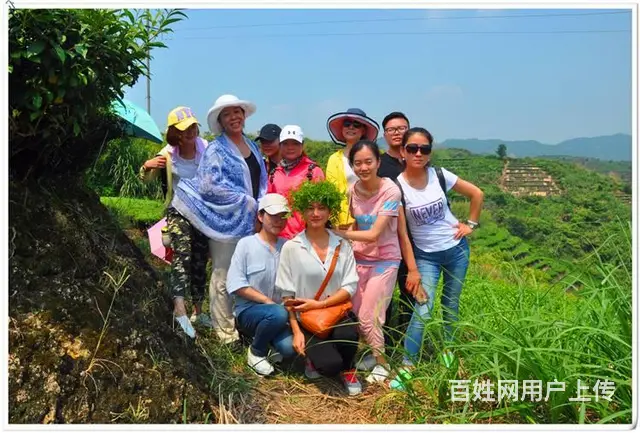 全国正规茶艺师学校 - 图片 7