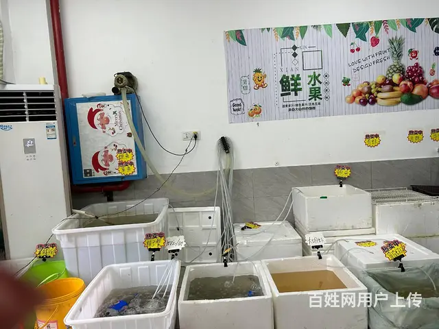 （老板本人）成熟小区出入口日营业额4500+生鲜超市转让 - 图片 10