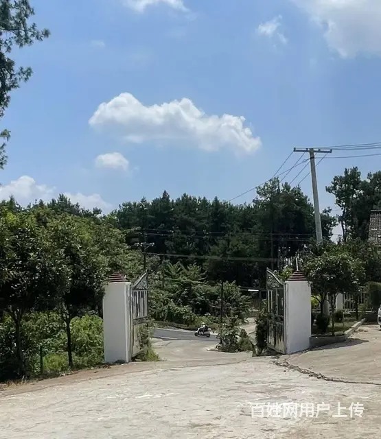 松鹤养老院 - 图片 7