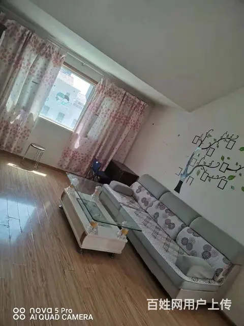 急售，昌吉 的好房子，一室一厅一卫带晒台，9中14小 - 图片 1