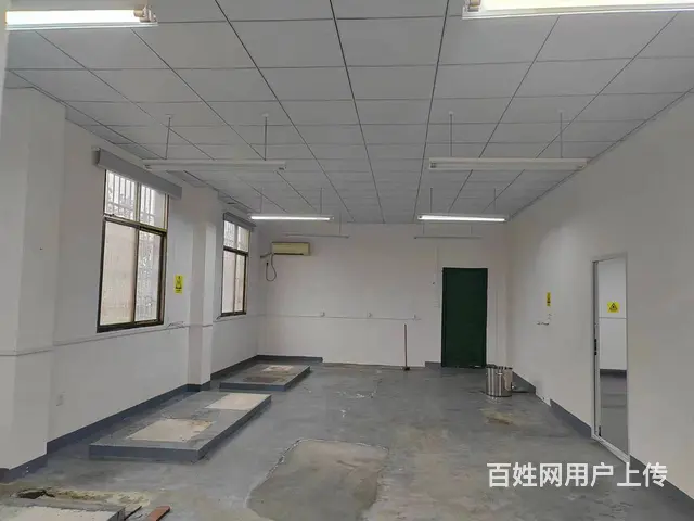 （老板本人）天心区大托铺独门独院厂房仓库低价出租  6016 - 图片 7