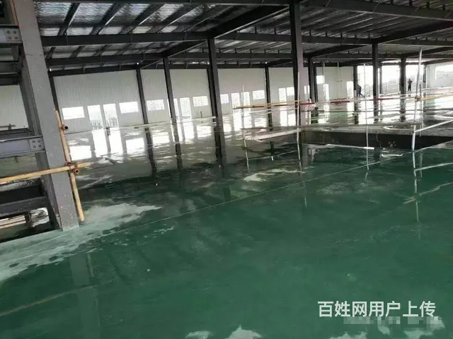 （老板本人）望城工业园厂房房东优价出租  5632 - 图片 6