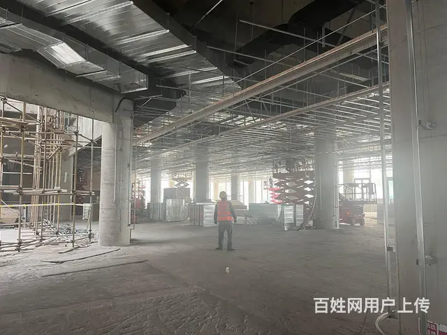 专业改造平房，别墅，厂房 - 图片 2