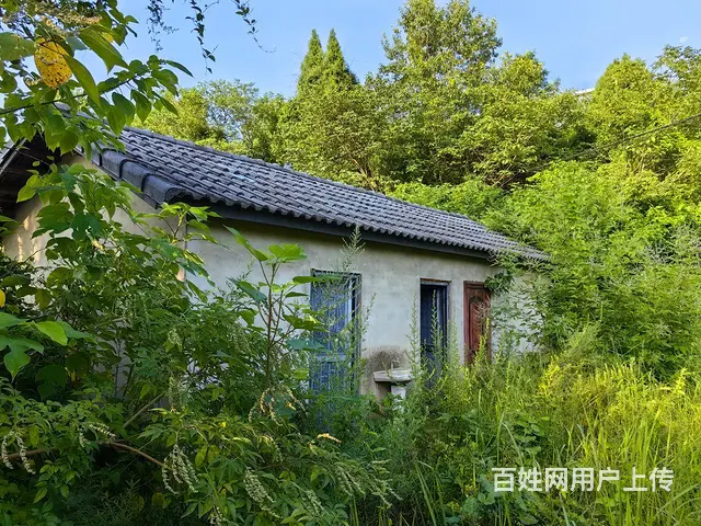 旺铺居）房东直租4.5亩鱼塘带三间房停车方便 - 图片 5
