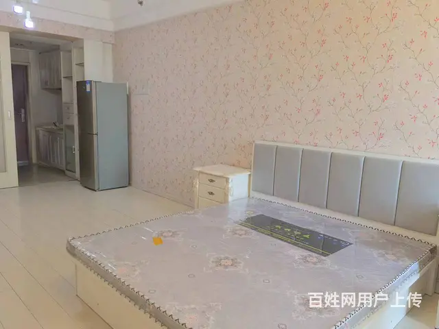 中街大悦城旁，精装公寓 电梯房，家电全，1300元/月 - 图片 2