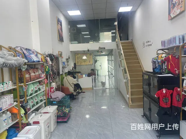 BP个人 城北萨尔斯堡三期有家宠物店转让 - 图片 6