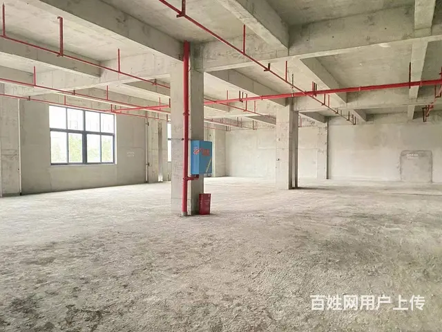 （房东直租）中青路佳海园区612平米厂房优价出租 - 图片 1