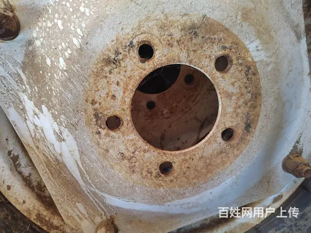 载胎 - 图片 6