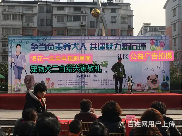 连锁学校训犬有保障，创造训犬训狗客户满意度 - 图片 10