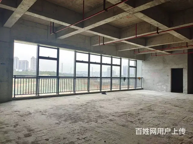 （老板本人）星沙未来智汇城标准厂房仓库房东直租  6270 - 图片 4