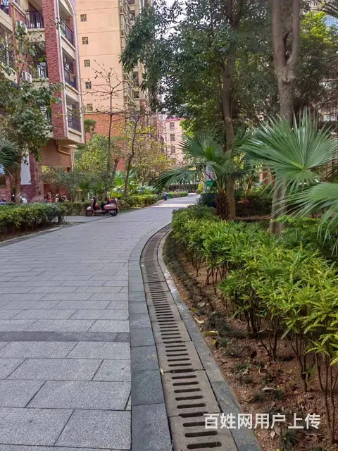 赤坎沿江华庭小区高层电梯观景舒适拎包入住小区房 - 图片 1