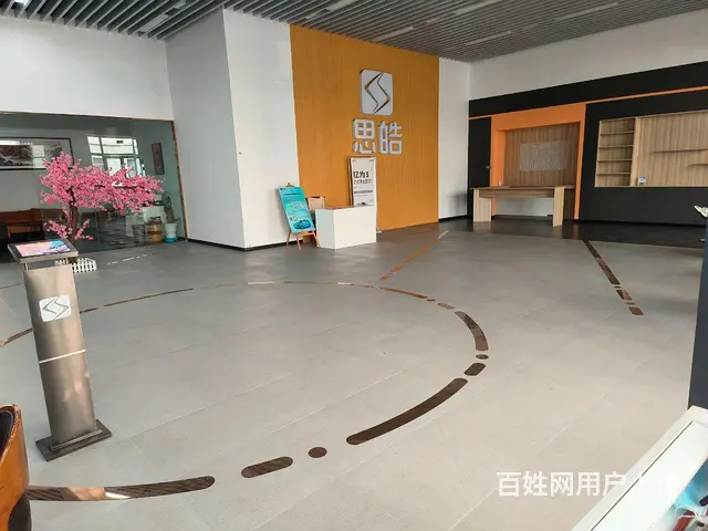 洲业汽车城新能源品牌转让 - 图片 2