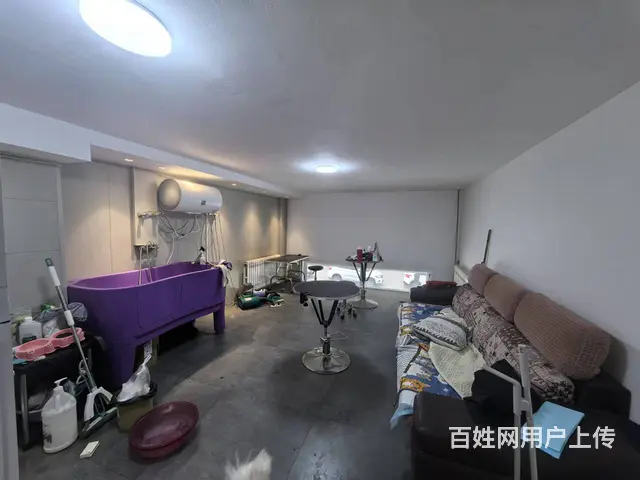 宠物用品店出兑  能寄养 - 图片 6
