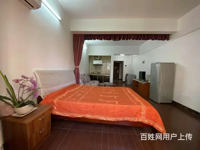 46平方精品公寓出租 - 图片 2