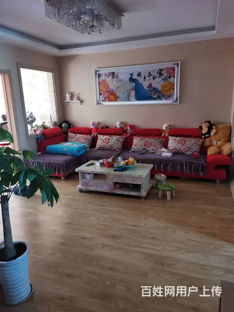 馨悦家园电梯5楼精装出租 - 图片 3