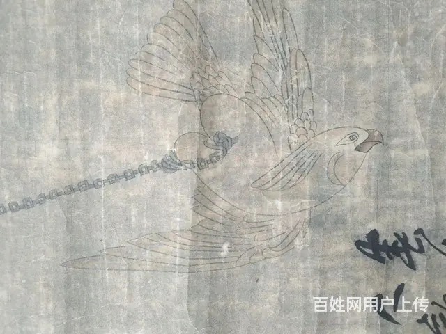清朝释真然的鹦鹉图 - 图片 6