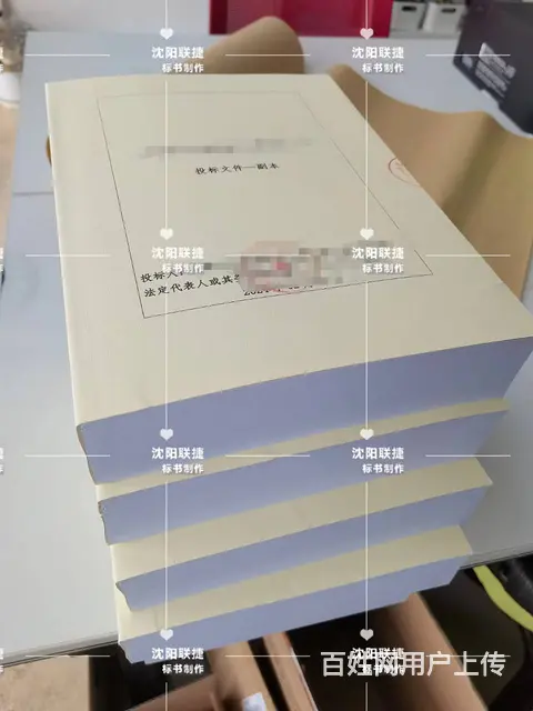 投标文件（服装＋工程＋采购标）审计报告＋工程预算 - 图片 4