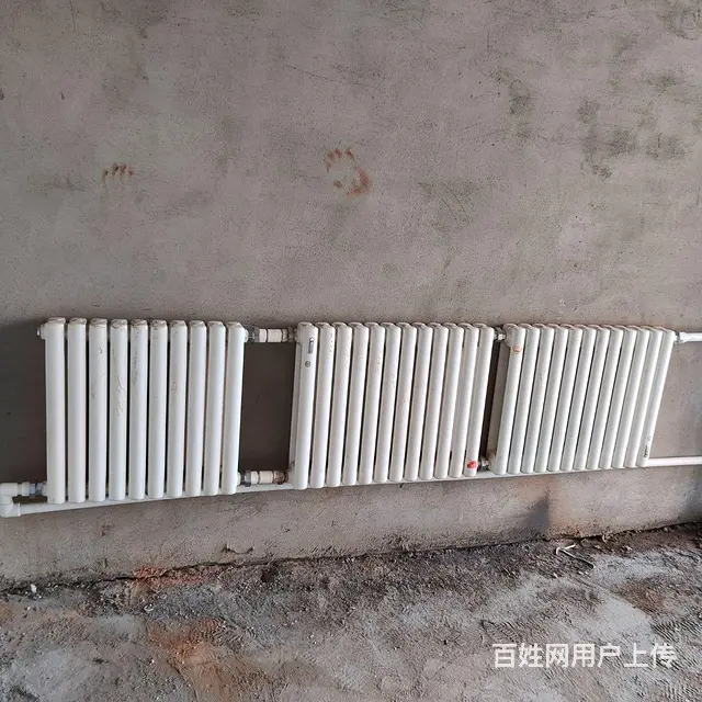 南山福苑小区暖库出租，每月300 - 图片 3