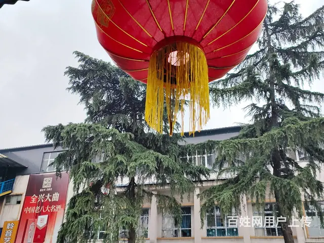 （个人房源出租）老城区春都路附近写字楼，可住宿可分割， - 图片 4