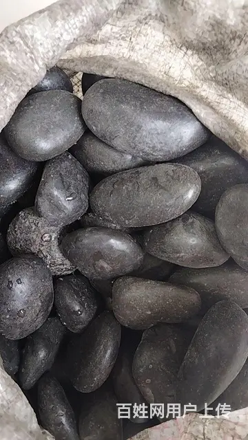 黑色鹅卵石雨花石原石天然鹅暖石头园林工程庭院铺地铺 - 图片 3