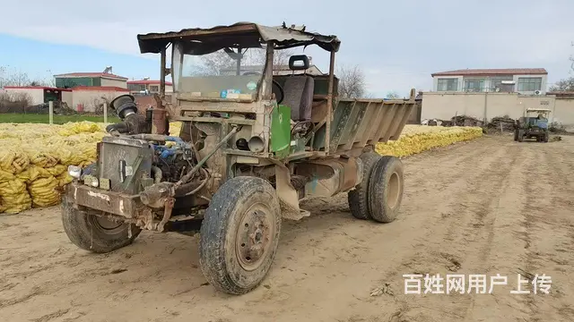 四不像 - 图片 2