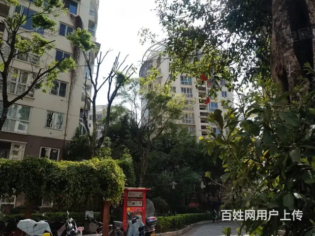 独栋两户采光好 精装带家具 拎包入住 - 图片 4