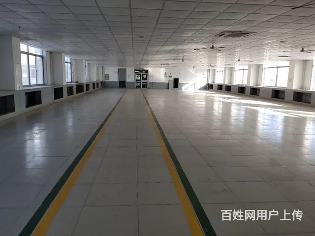 九龙城南厂房仓库出租 - 图片 6