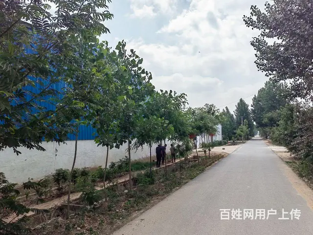 临沭县青云镇钢结构厂房出租 - 图片 6