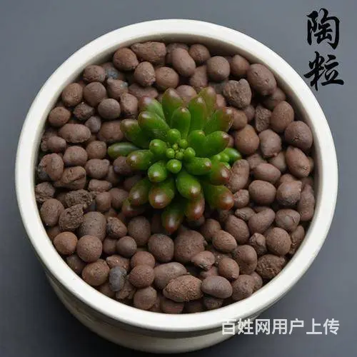 雅安陶粒 建筑陶粒 混凝土和陶粒搅拌 好朋友好搭档 - 图片 8