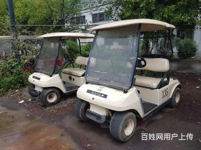 出租租赁出售二手朗晴电动观光车四轮电动车 - 图片 9