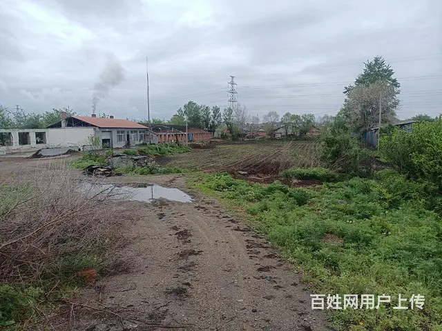 平房出卖 - 图片 3
