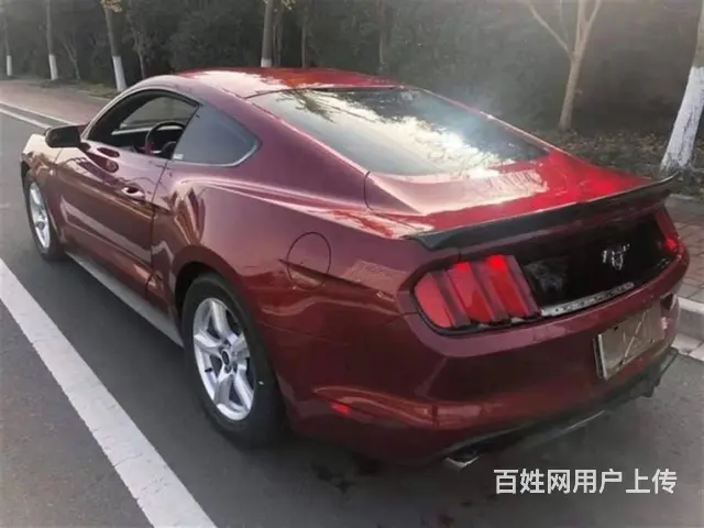 福特Mustang [野马] 2016款 2.3T 手自一体 - 图片 6