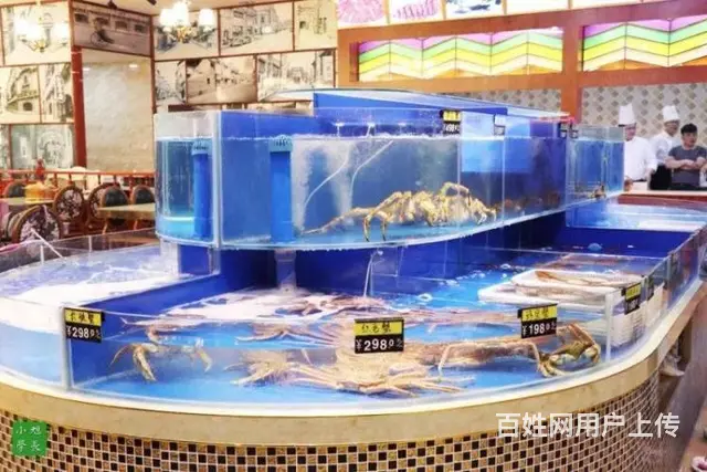 扬州【庆亚】海鲜大闸蟹玻璃鱼缸测量定做安装报价 - 图片 4