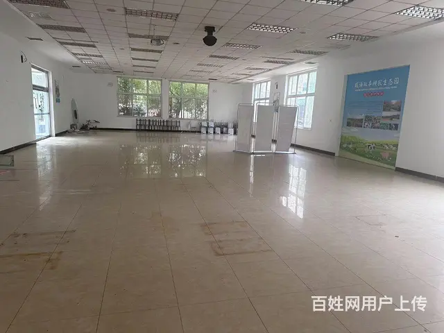 （新房源）高区利群附近临街大平层门面招租 - 图片 2
