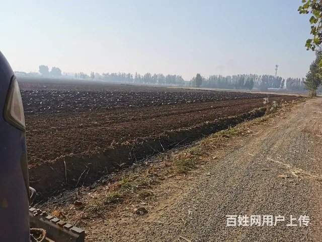 犁 - 图片 3