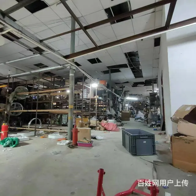 （51旺铺推荐）水蛟村750平仓库出租，可分租 - 图片 5