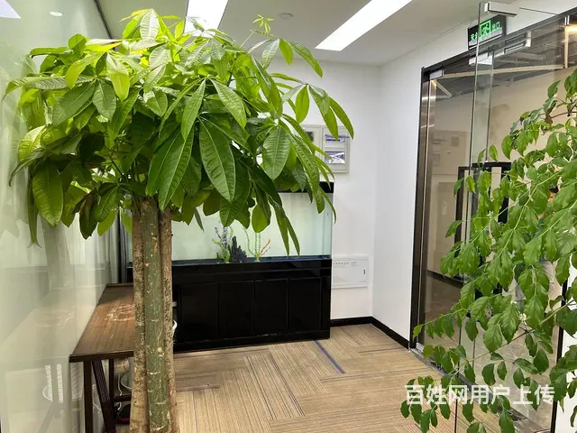 云狐科技园 直播电商好地方 房补1元 带露台精装直播间拎包 - 图片 7