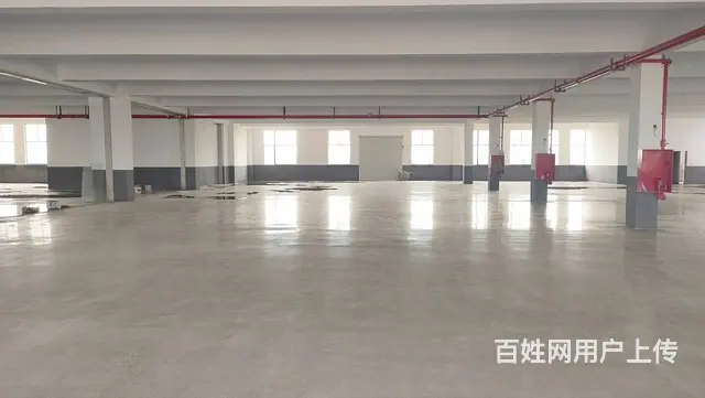 武进鸣凰科创路独立二楼车间1800平方货梯大可分组800平方 - 图片 5