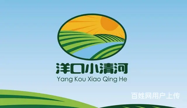 专业vi设计、logo设计、包装设计 - 图片 1