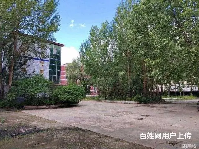 阿城区会宁路副277号厂房办公楼出租 - 图片 8