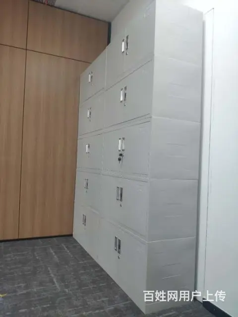 厦门文件柜员工柜档案柜资料柜书柜资料收纳柜凭证柜 - 图片 5