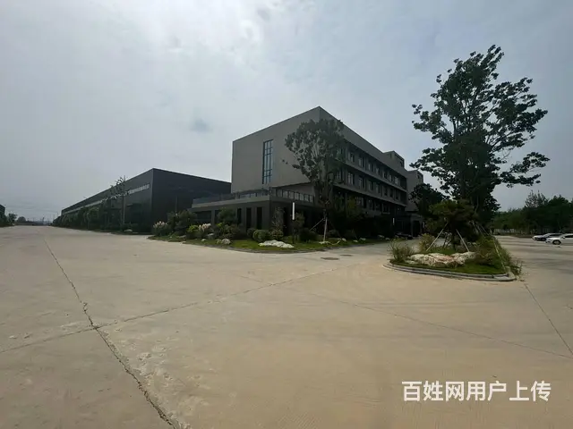 （徐州找店网）金山桥金港路高标准厂房出租 - 图片 3