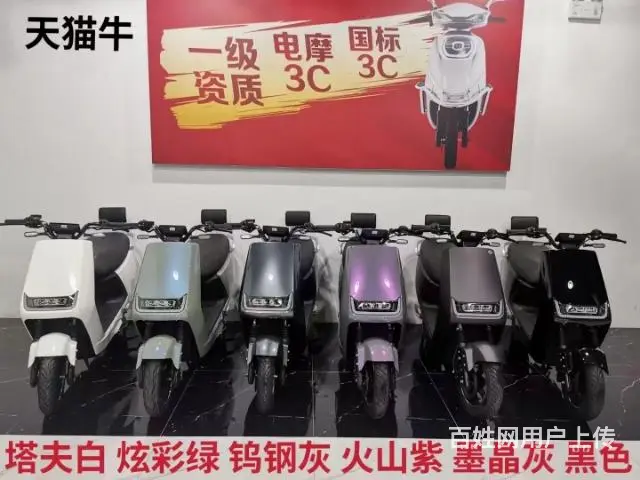 全新大牛   1999 - 图片 5