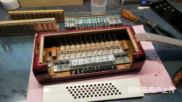 鹦鹉手风琴维修服务，专业百乐金杯鹦鹉手风琴维修 - 图片 6