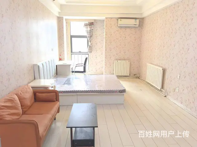 近中街大悦城，丰瑞威士顿公寓 ，1300元/月，精装修家电全 - 图片 6