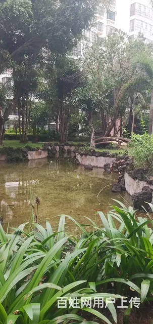 诚急售金盘好小区金瑶雅苑2房厅98平中装电梯 - 图片 8