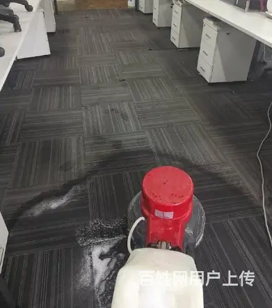 广州公园前地毯除螨，越秀清洗地毯公司，上门清洁地毡 - 图片 4