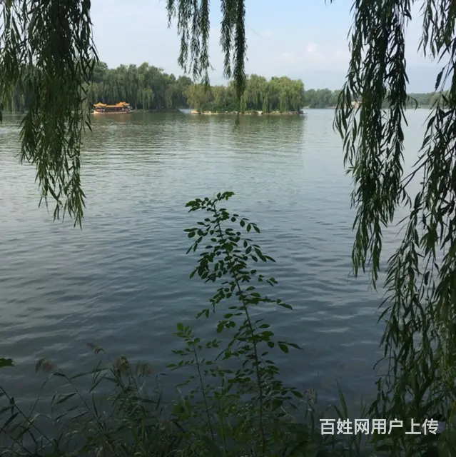 真诚找伴 - 图片