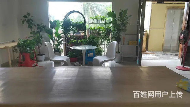 （51旺铺推荐）大真岭50平空铺出租 - 图片 9
